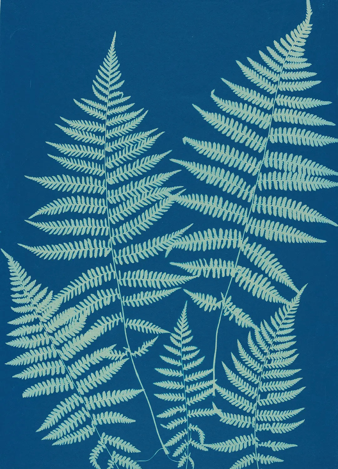 Cyan Botanica