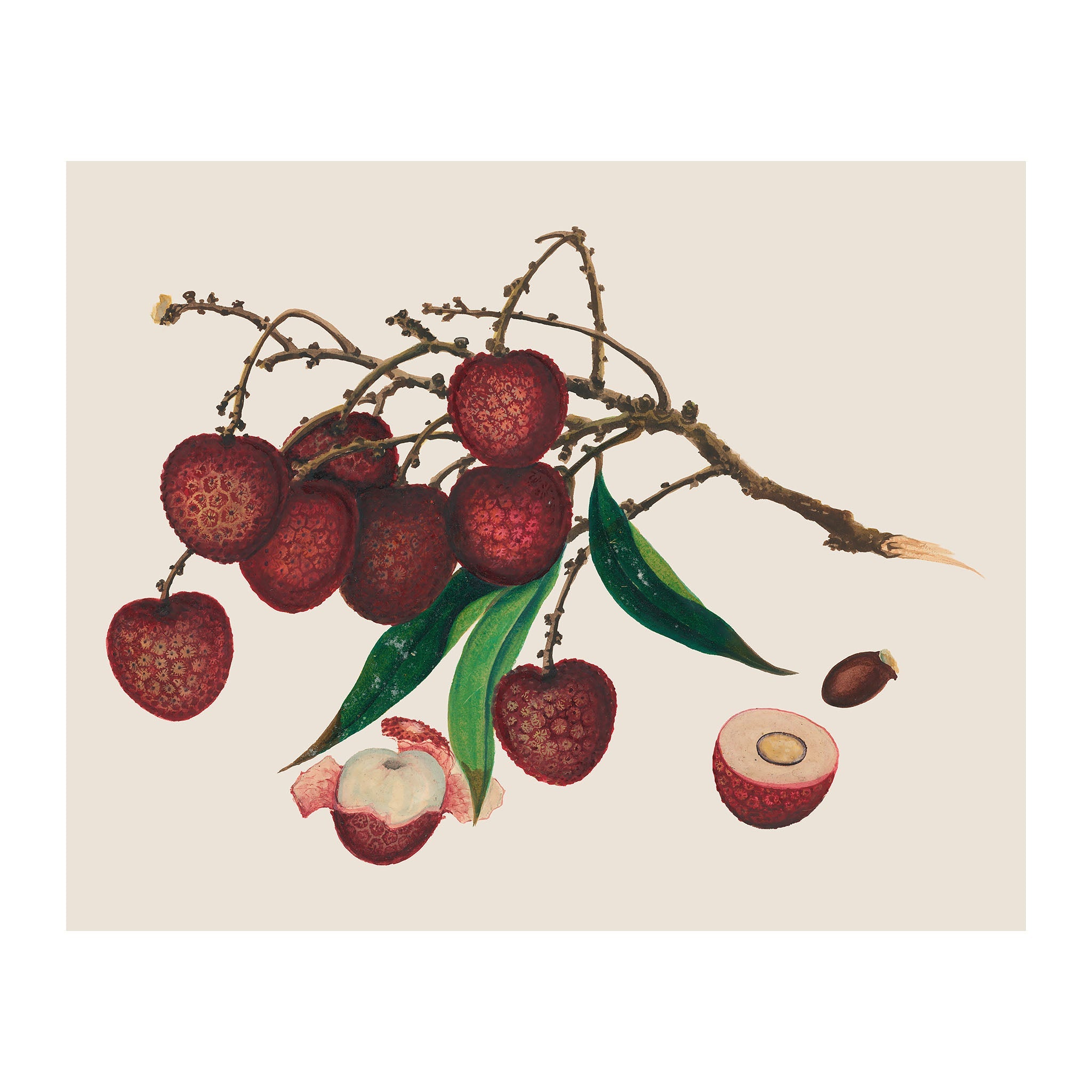 AF2 - Ripe