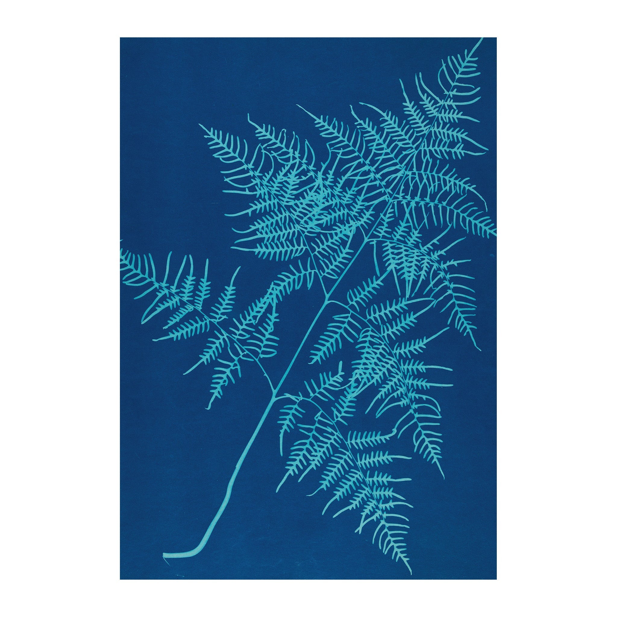 CB24 - Cyan Botanica