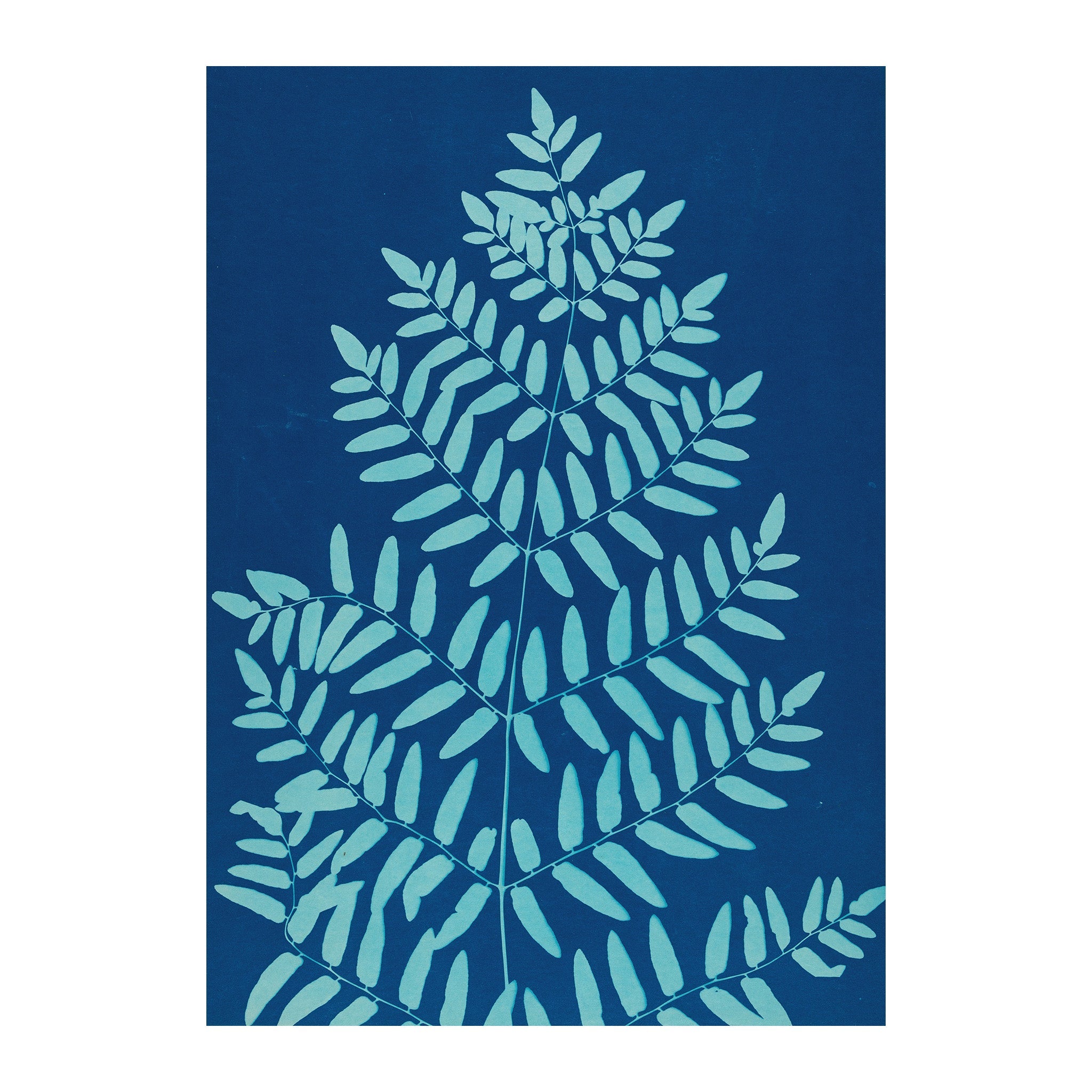 CB26 - Cyan Botanica