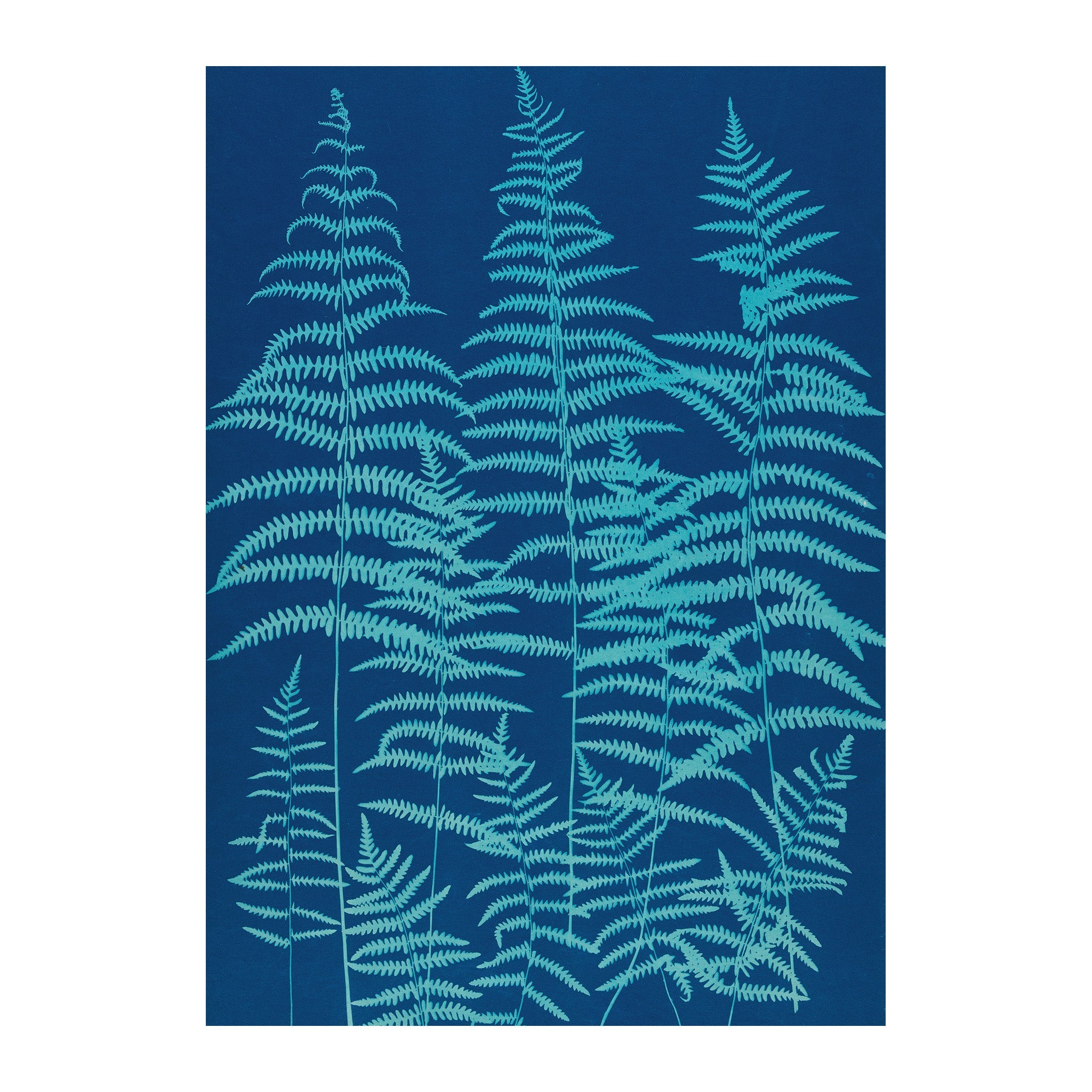 CB31 - Cyan Botanica