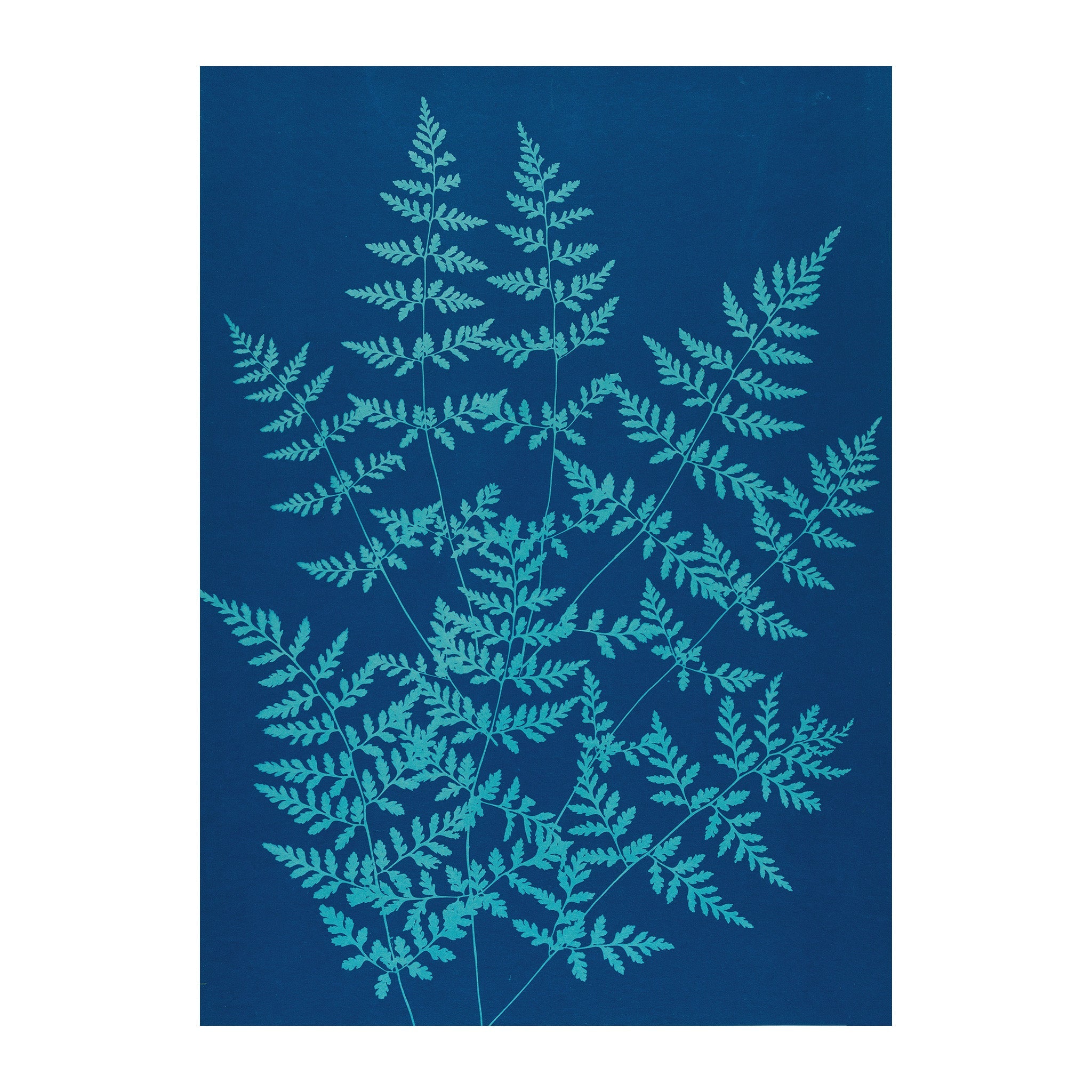 CB32 - Cyan Botanica