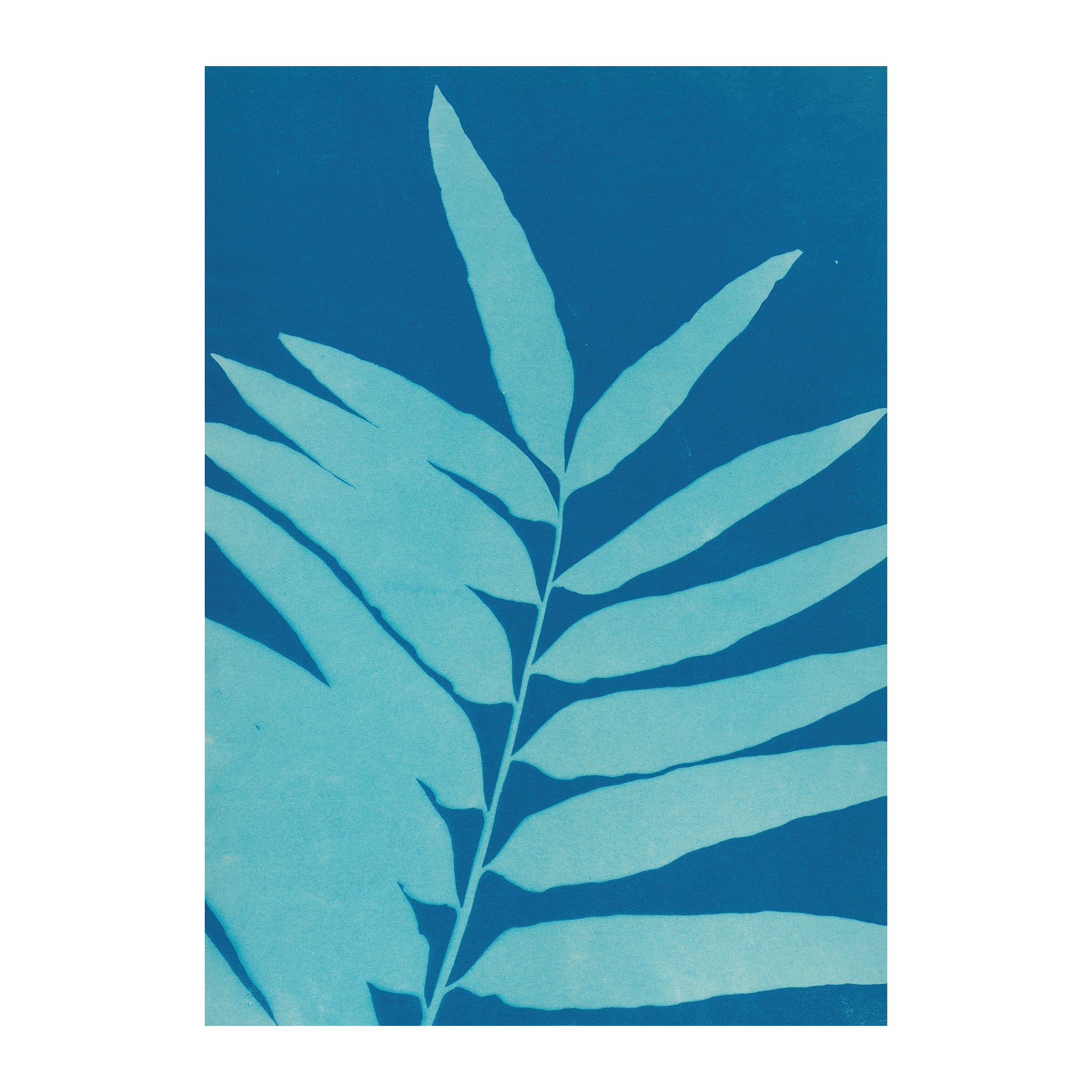 CB33 - Cyan Botanica