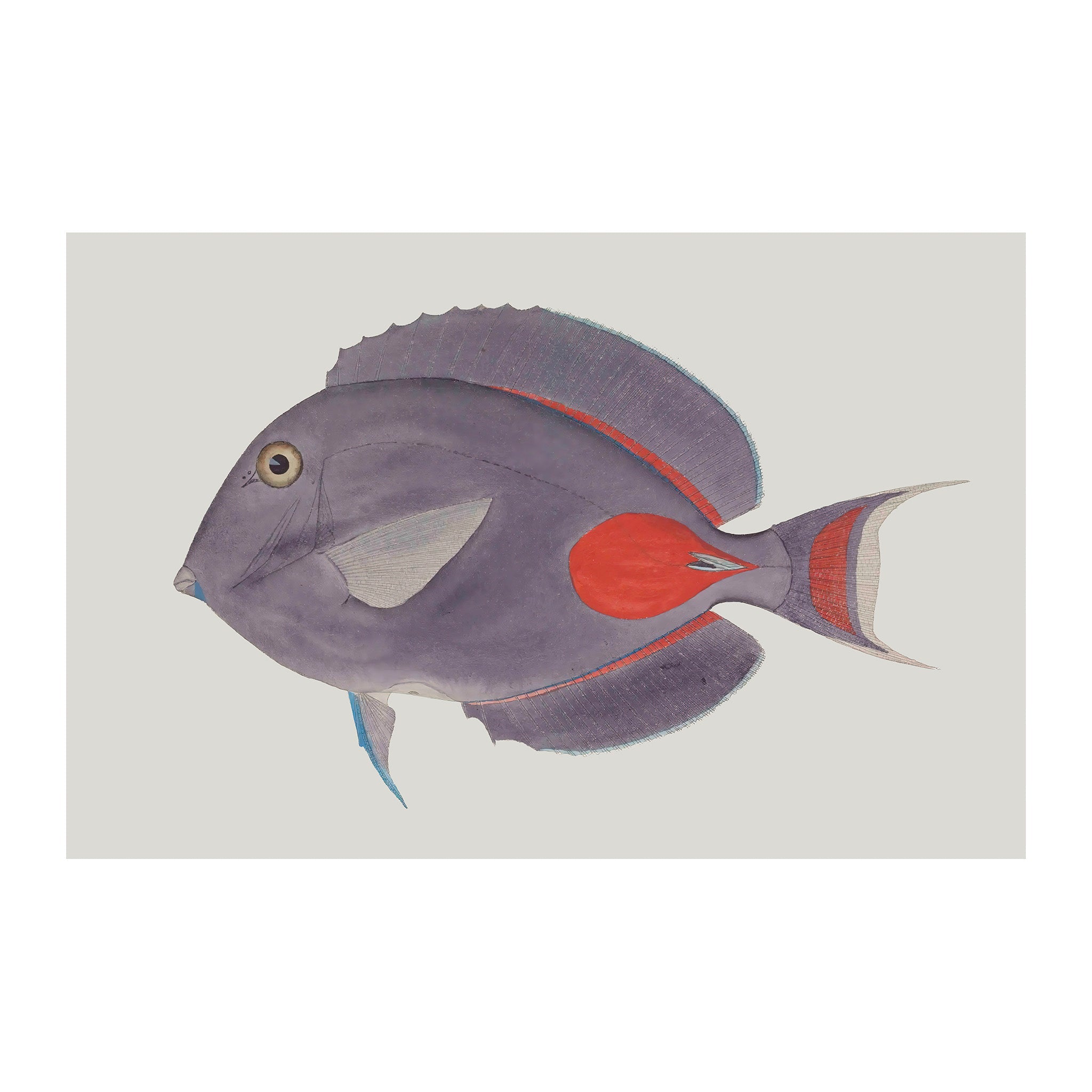 OC122 - Ocean Oddities