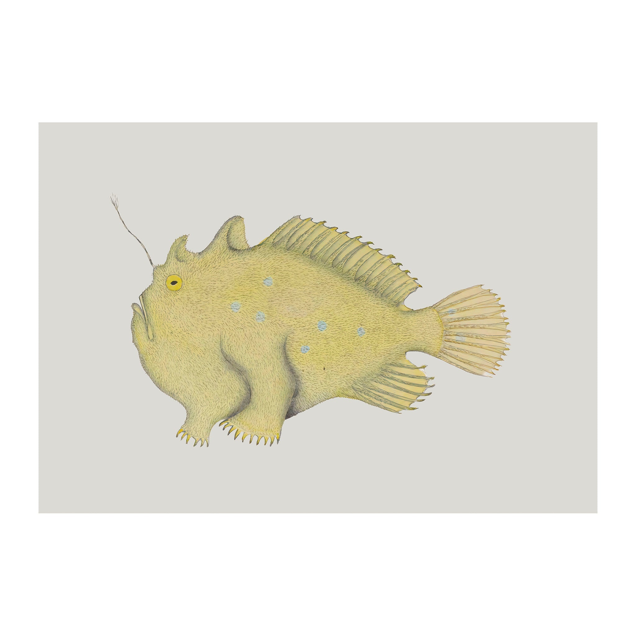 OC134 - Ocean Oddities