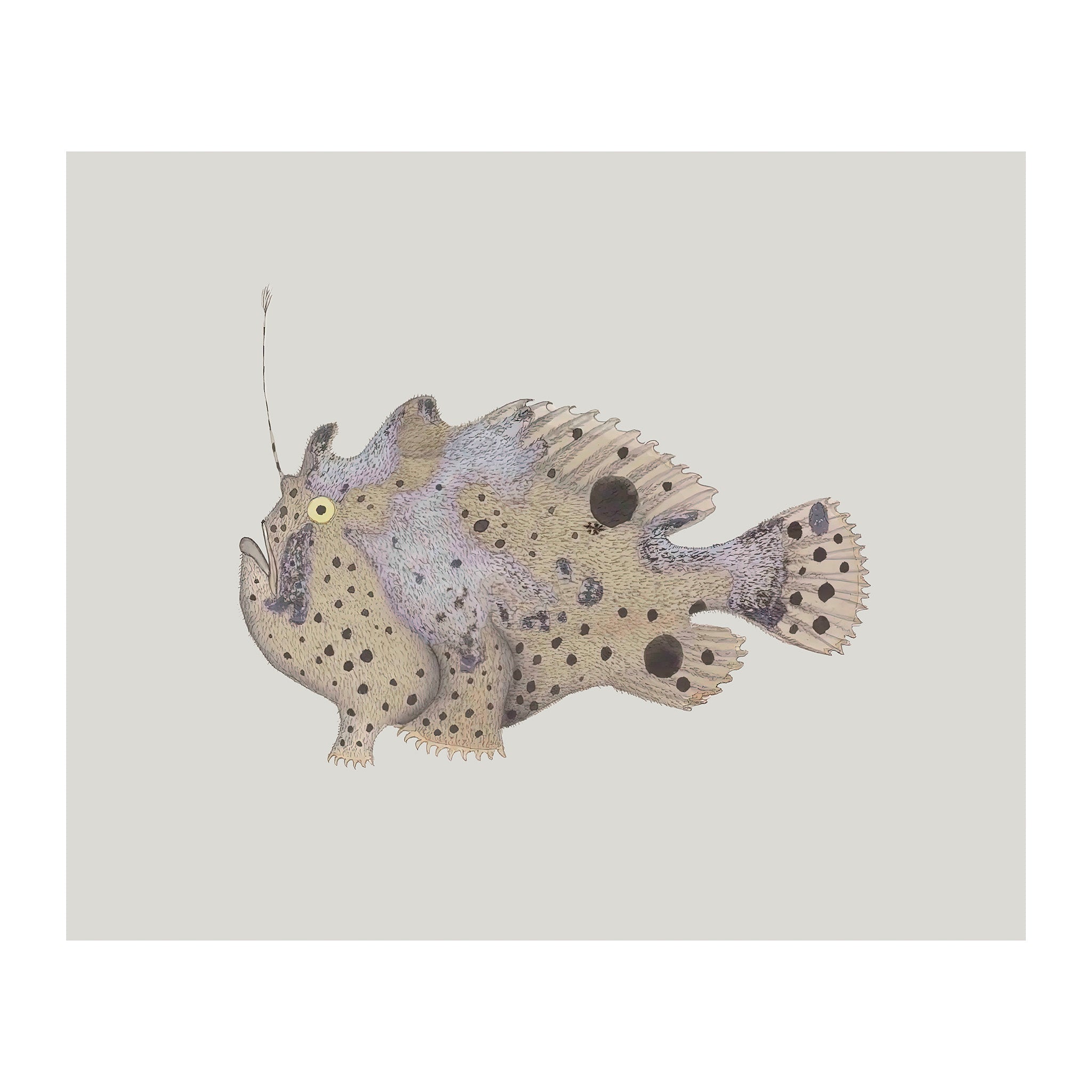 OC135 - Ocean Oddities