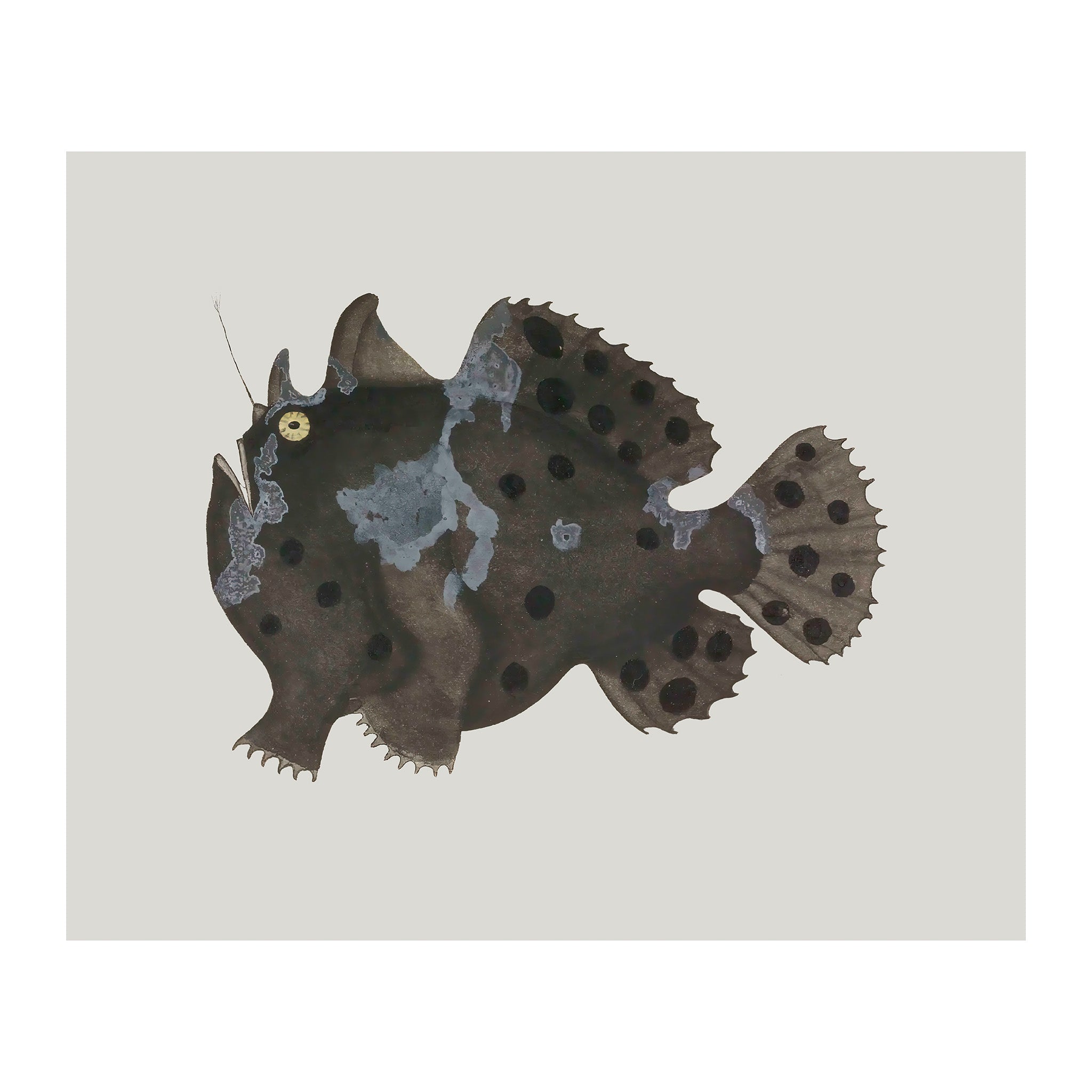 OC137 - Ocean Oddities