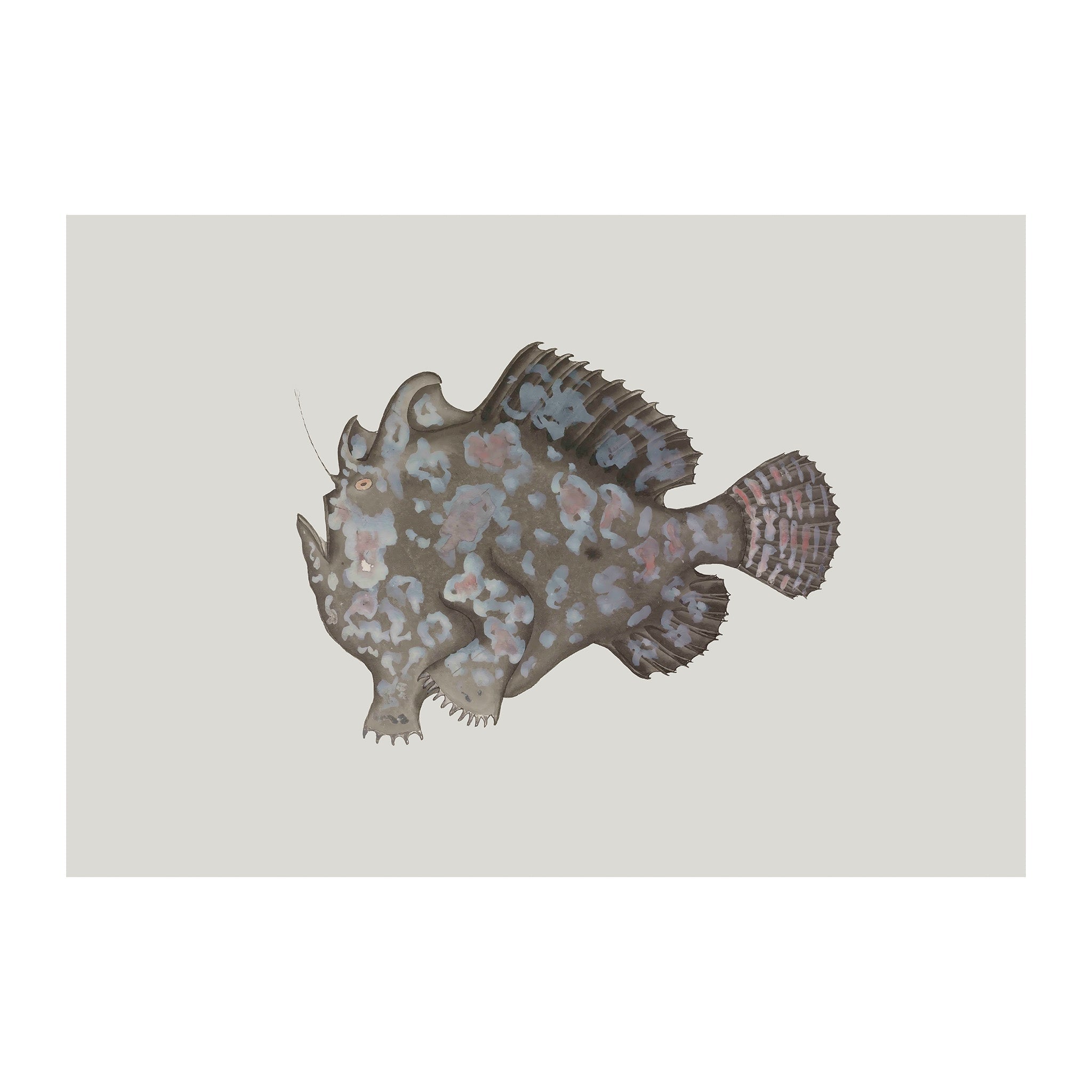 OC138 - Ocean Oddities
