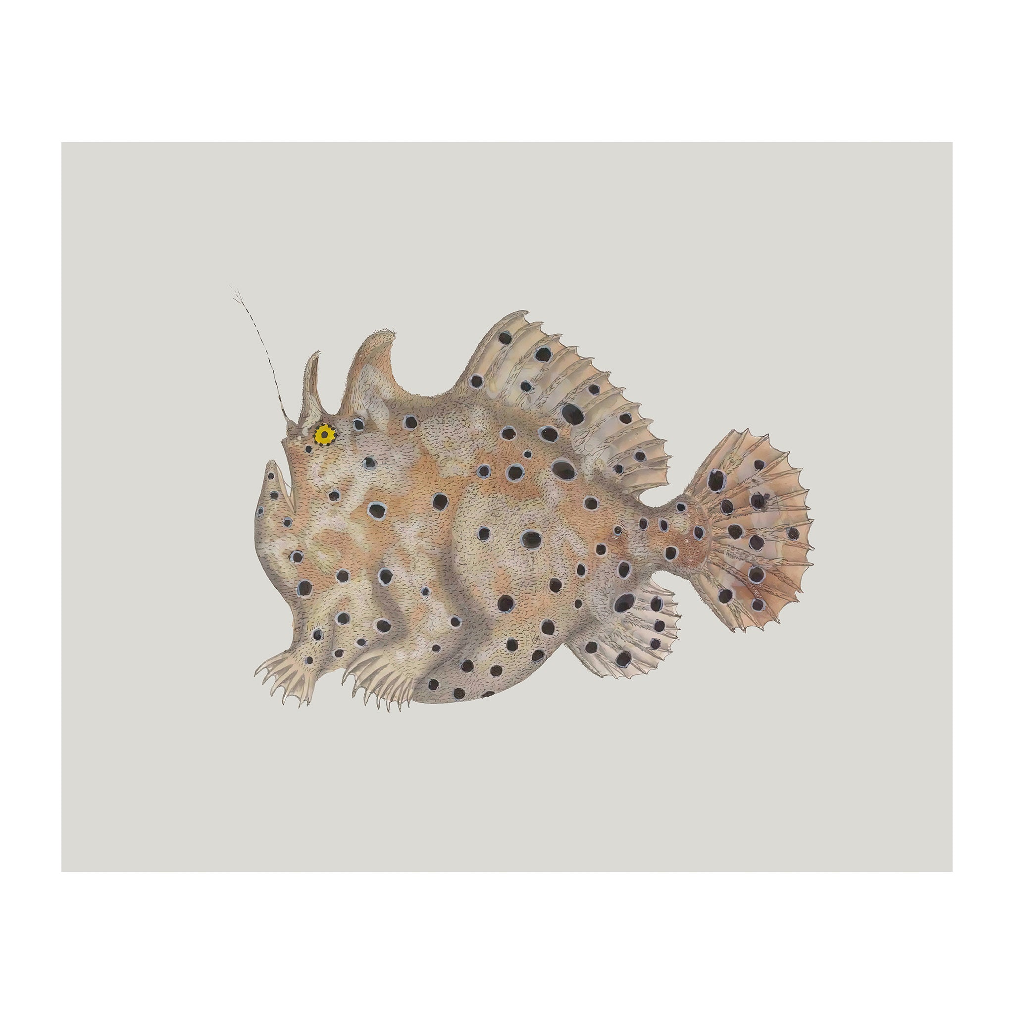 OC139 - Ocean Oddities