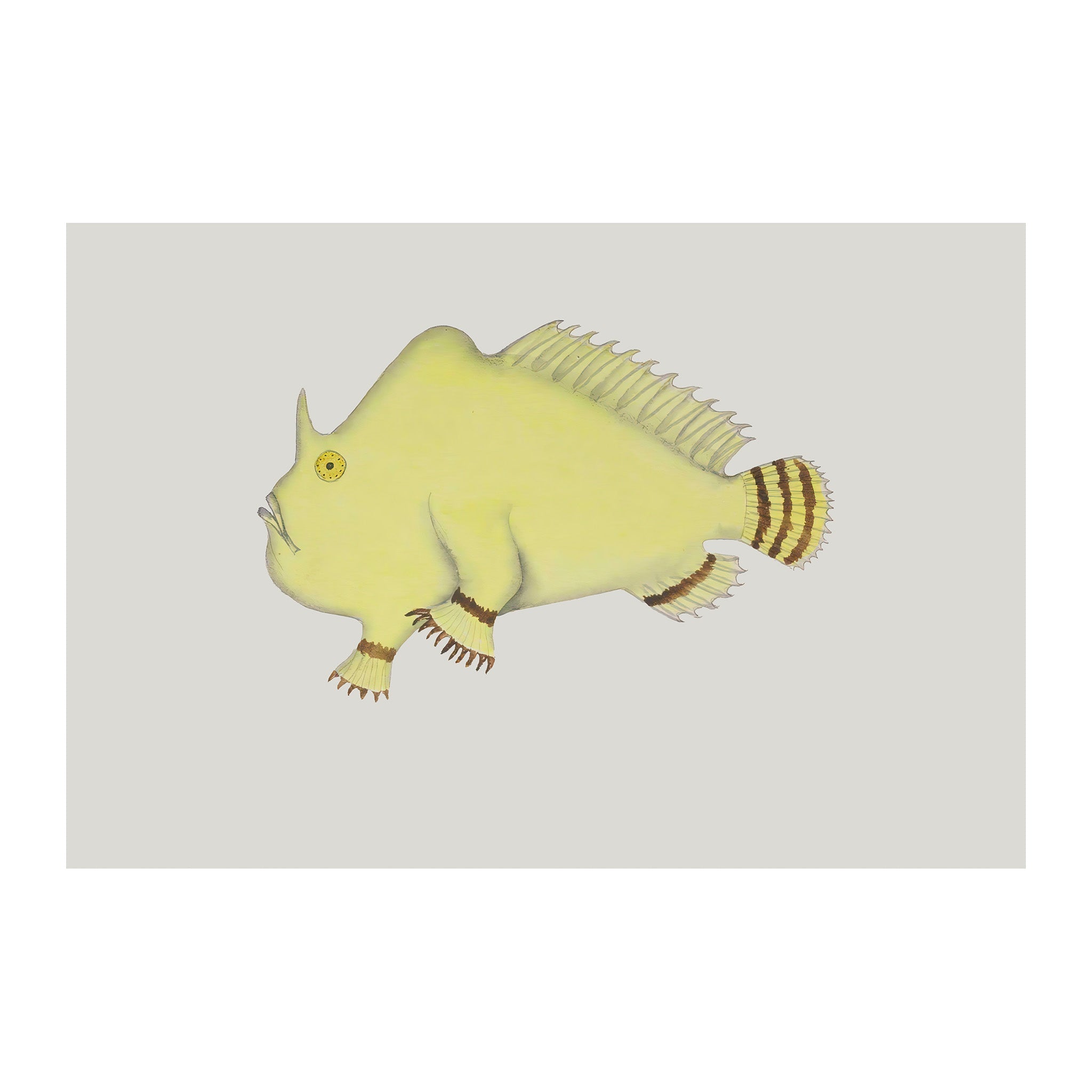 OC140 - Ocean Oddities